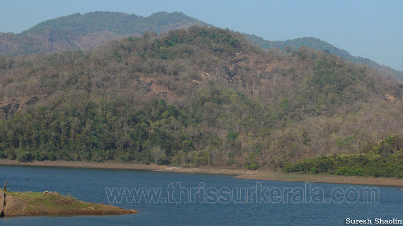 chimmini-dam-thrissur (6)